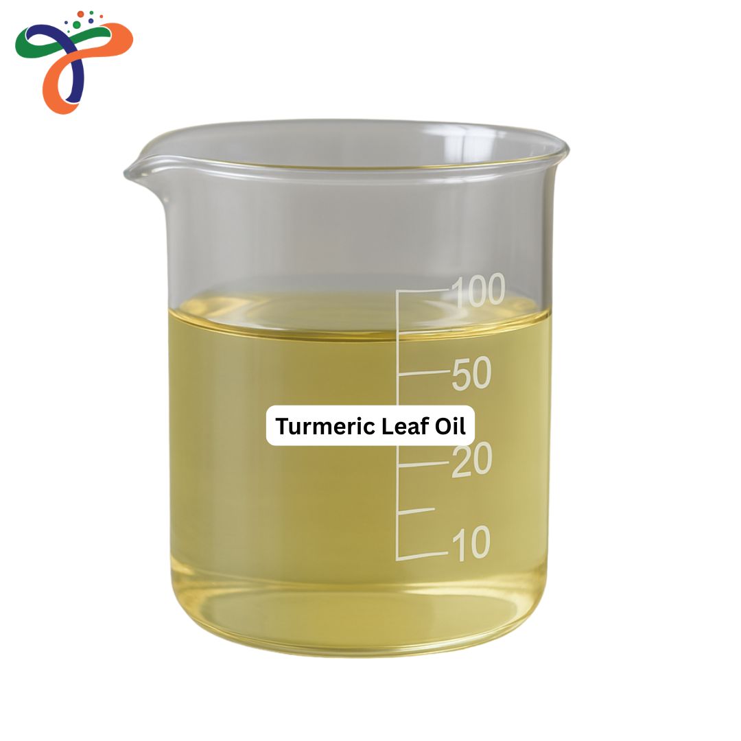 Turmeric Leaf Oil